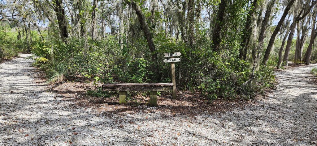 hiking trail bench North Anclote River Nature Park