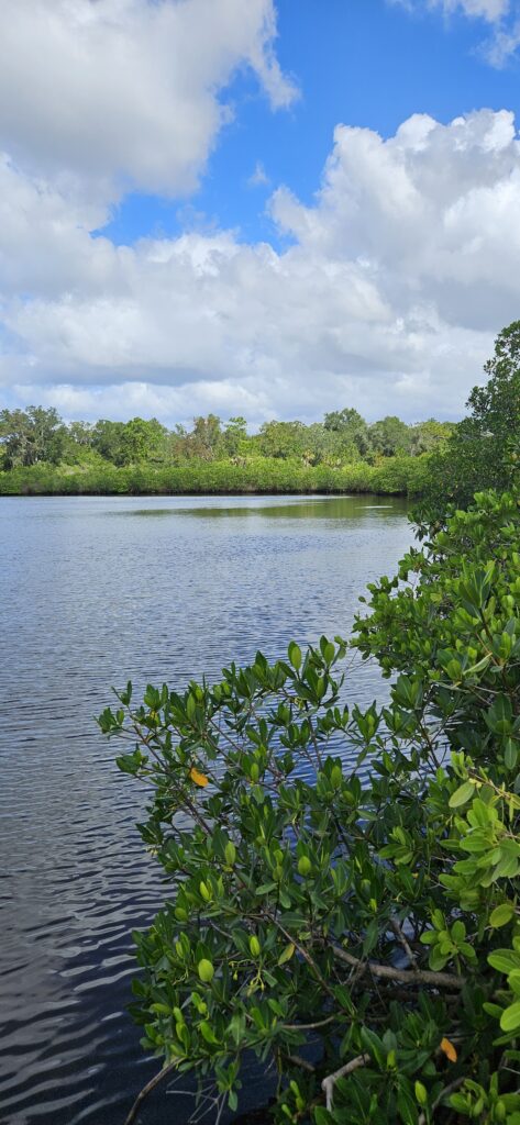 North Anclote River Nature Park