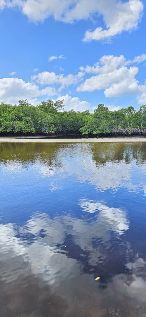 Anclote River