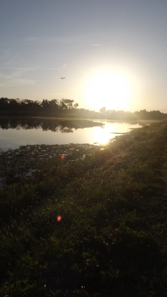 Lake Apopka Wildlife Drive