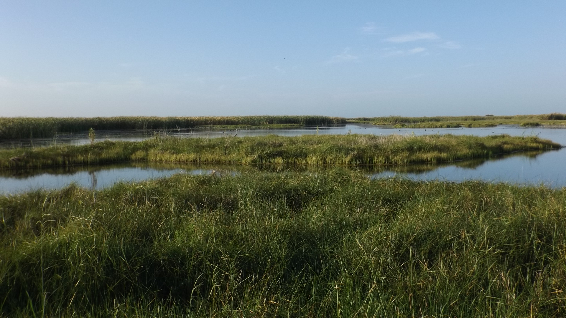 Lake Apopka Wildlife Drive