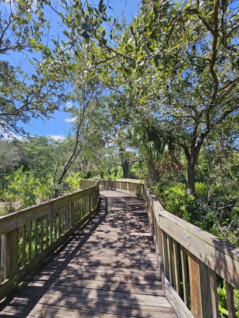 Boardwalk