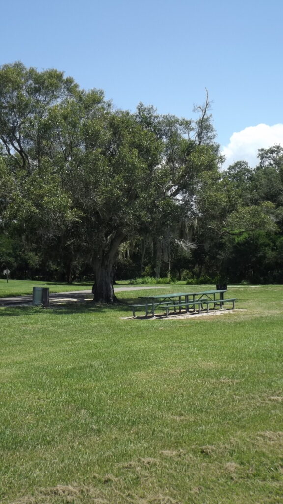 Picnic Table Field