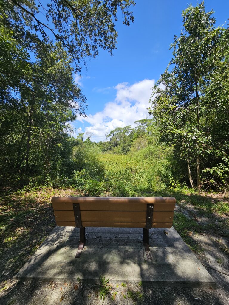 Eagle Lake Park Bench