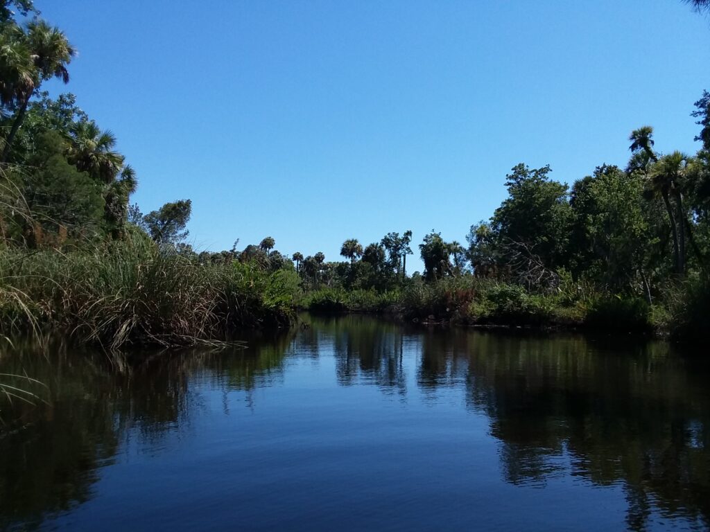 Pithlachascotee River