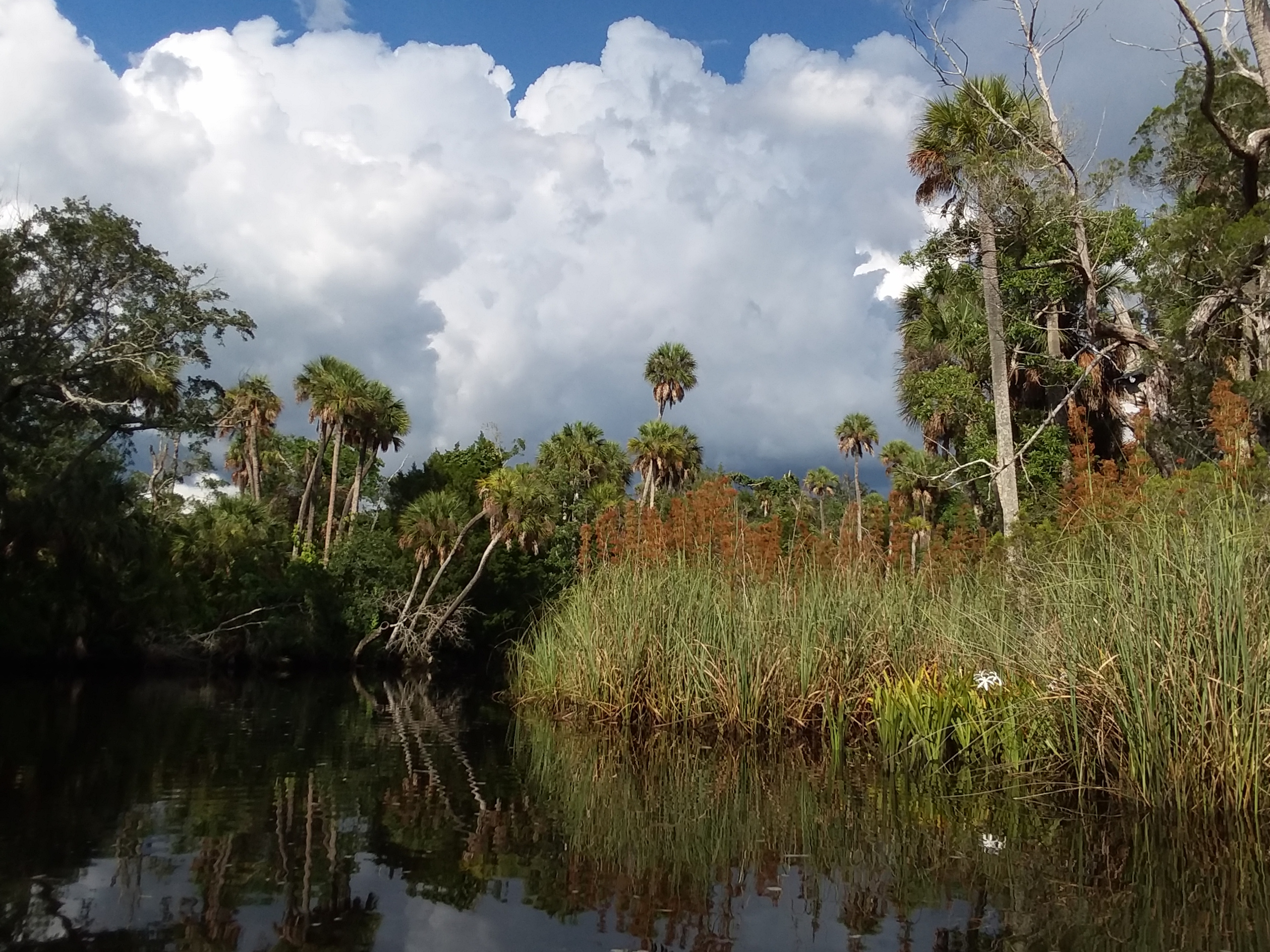 Pithlachascotee River (The Cotee)