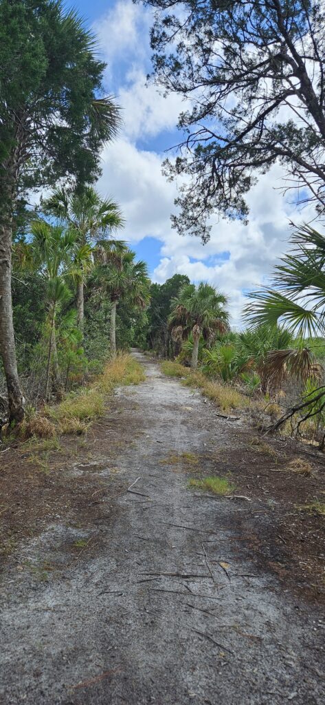 Pasco Palms Preserve