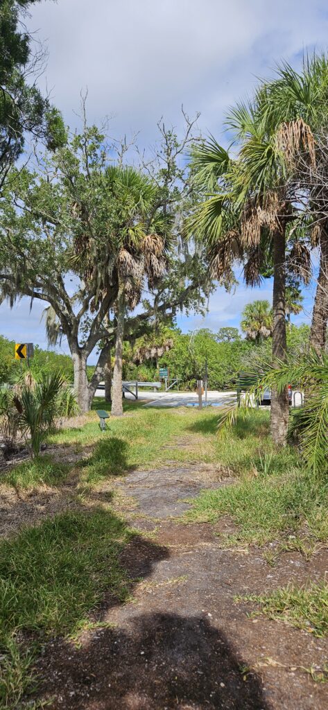 Pasco Palms Preserve