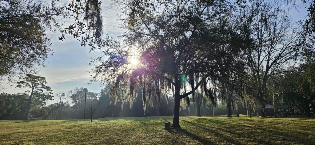 frances avenue park