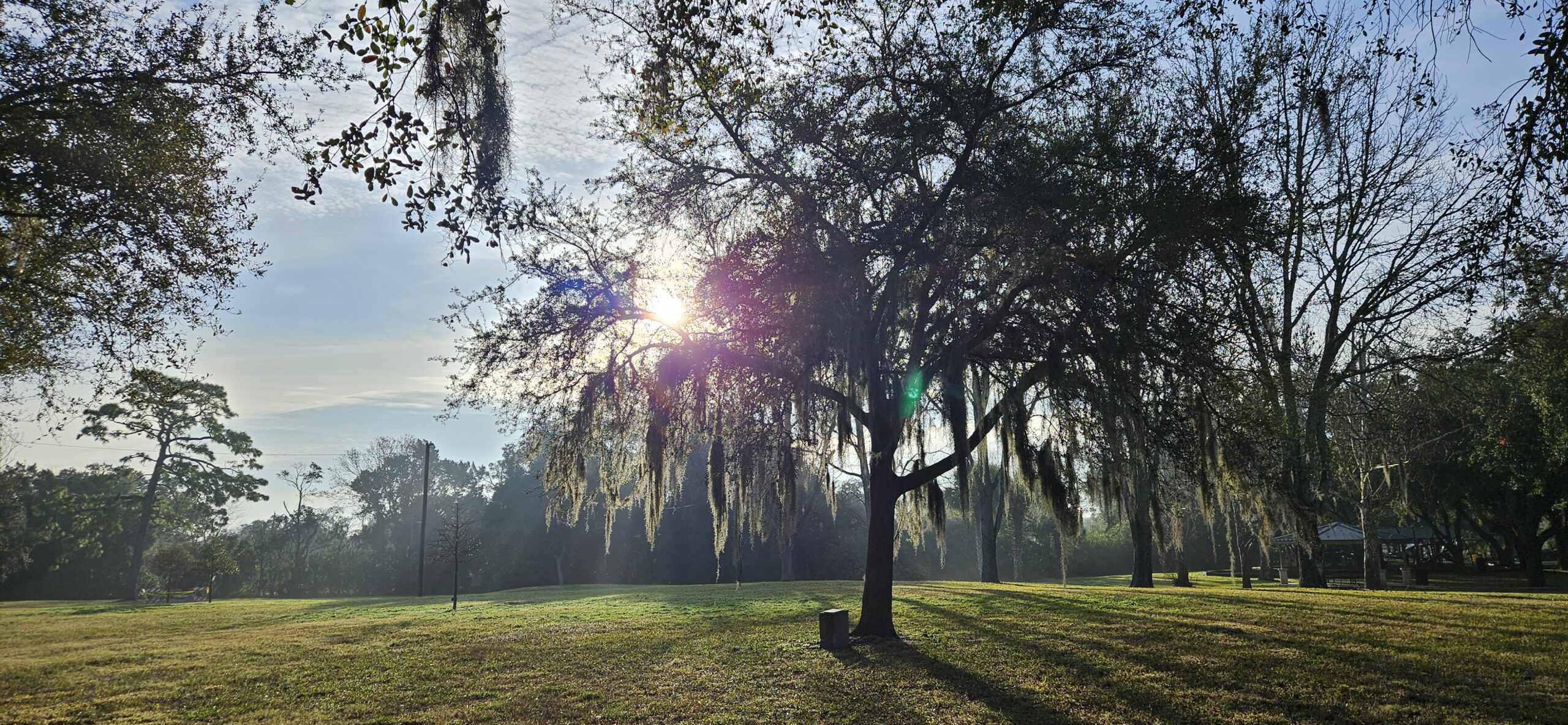 Frances Avenue Park