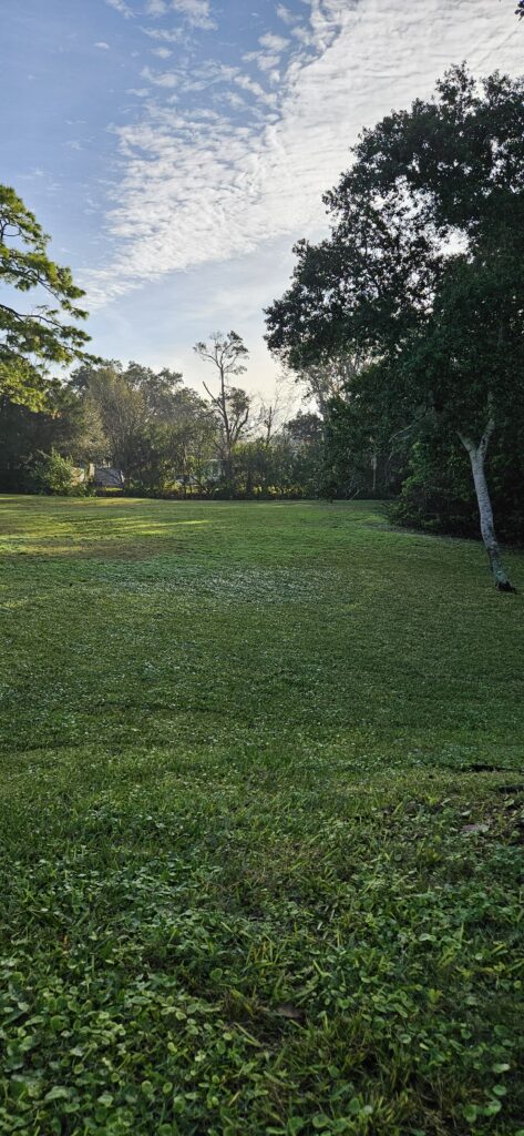 Frances Avenue Park