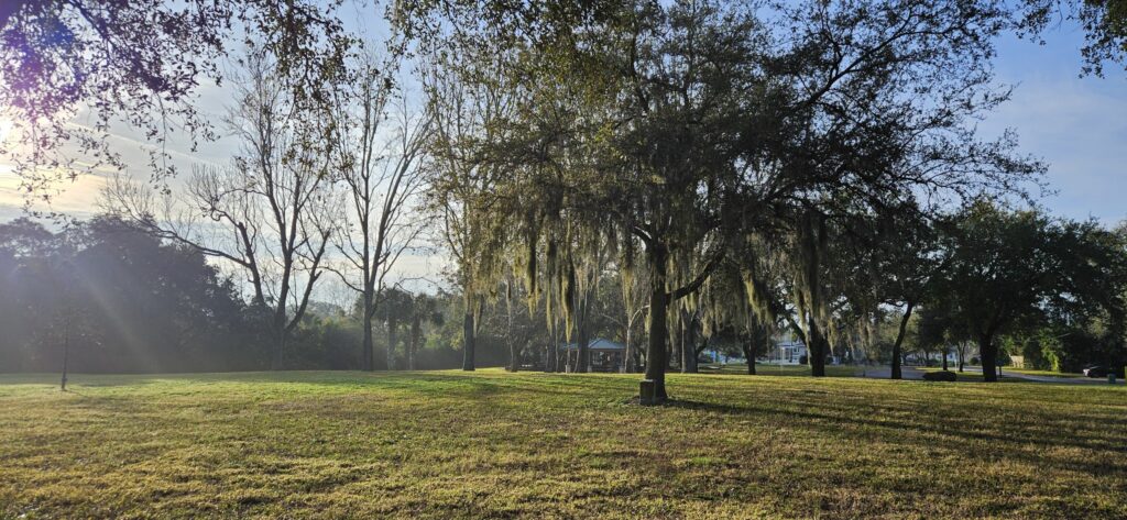 Frances Avenue Park