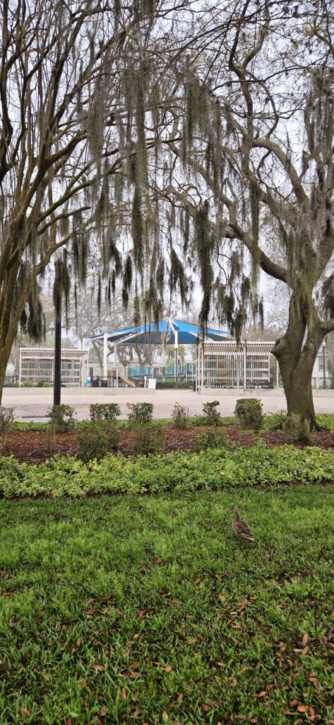 new port richey park