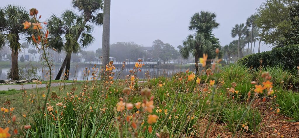 sims park new port richey