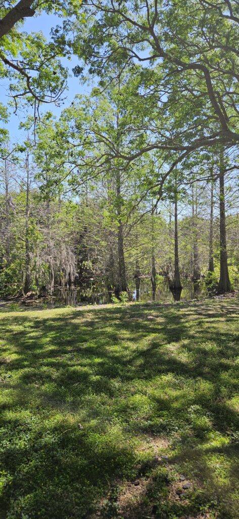 harbor palms nature park