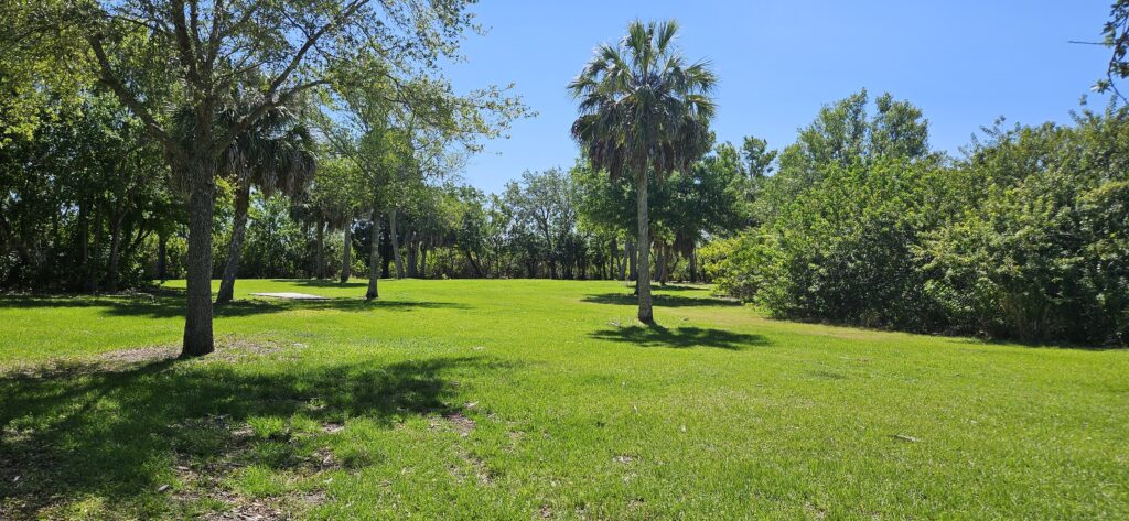 harbor palms nature park