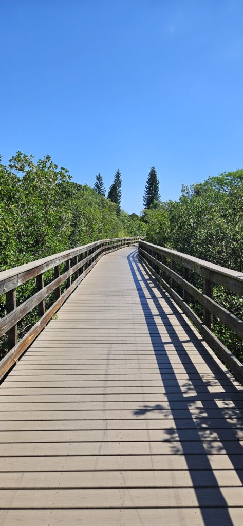 harbor palms nature park boardwalk