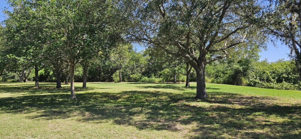 harbor palms nature park