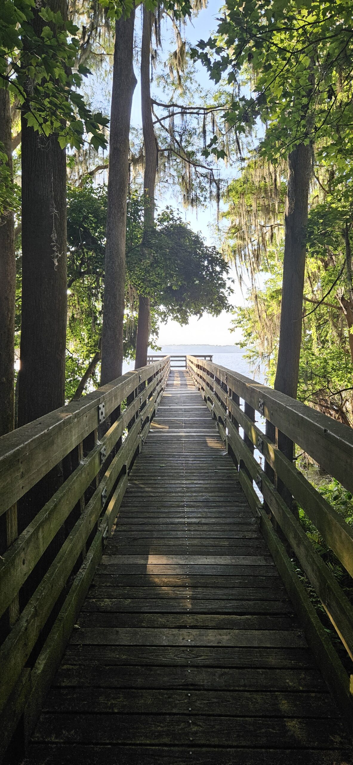 boardwalk