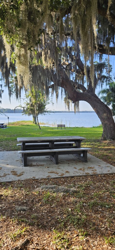 richard ervin park tarpon springs