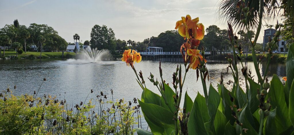 sims park orange lake