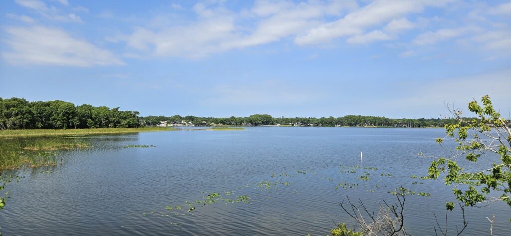 lake tarpon