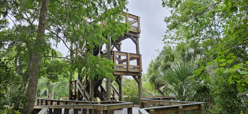 john chesnut park observation tower