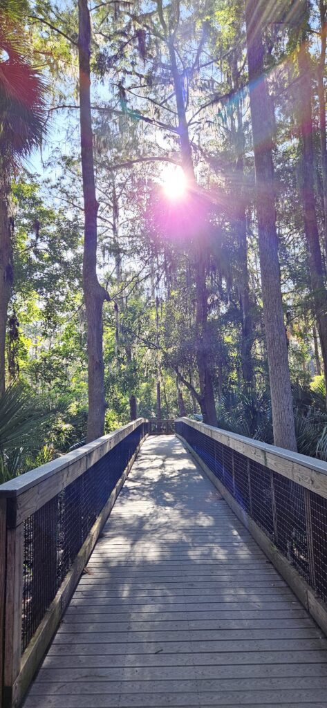 John Chesnut Sr Park Boardwalk Trails