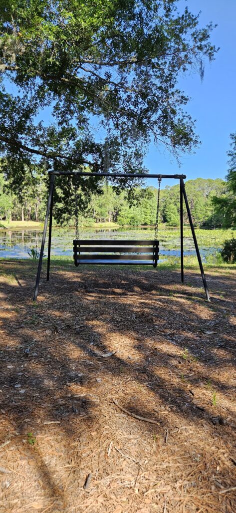 John Chesnut Sr. Park Swinging Bench