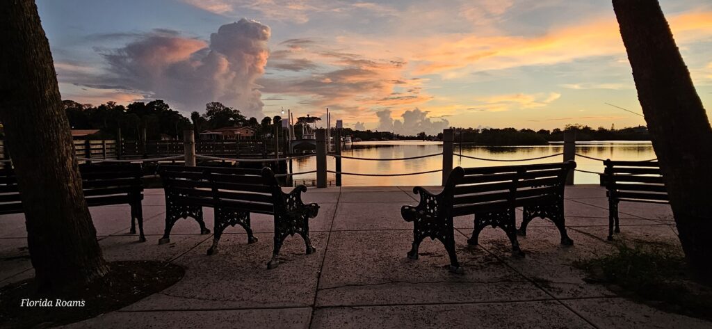 nicks park sunset benches