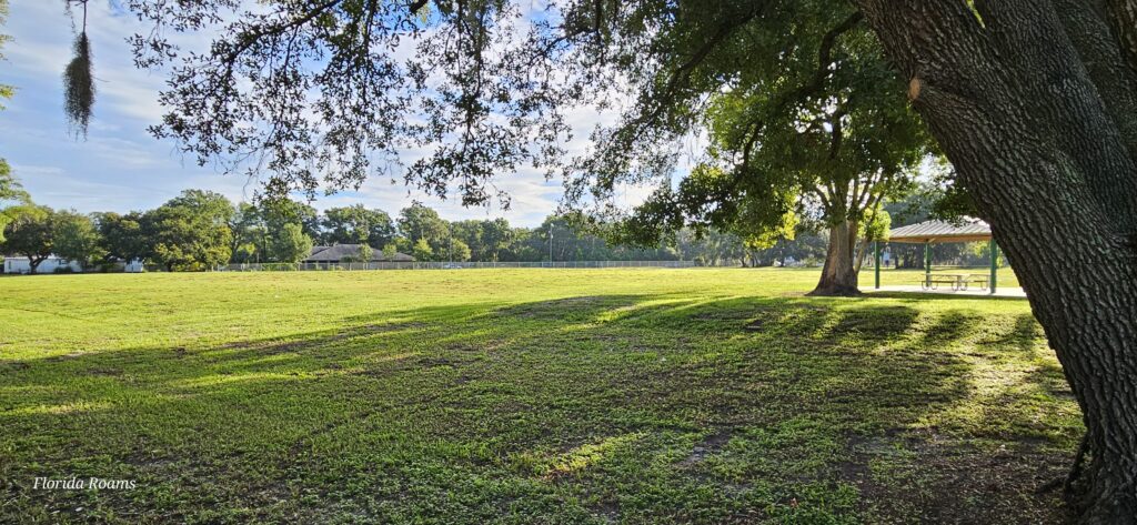 peterson road park odessa