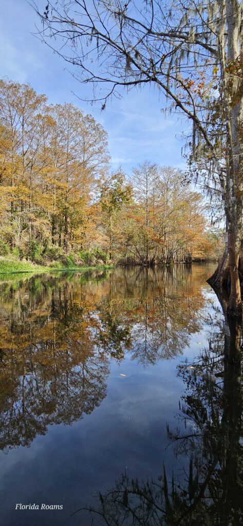 withlacoochee river