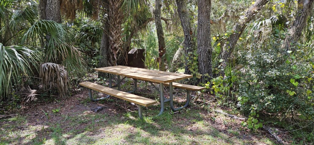 buford spring picnic table