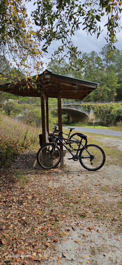 mountain biking