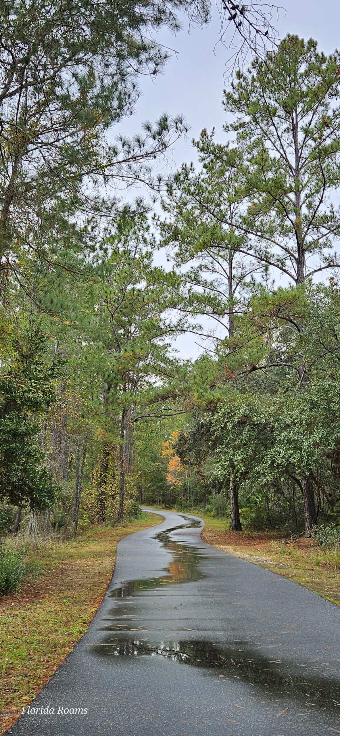 land bridge cross florida greenway