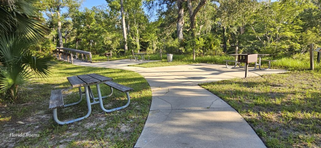 Lafayette Blue Springs State Park picnic table and grill