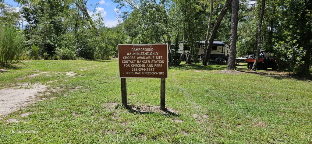 lafayette bleu springs state park primitive camping
